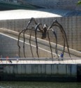 A huge spider at the Guggenheim